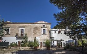 MASSERIA CITULO Il Pino grande